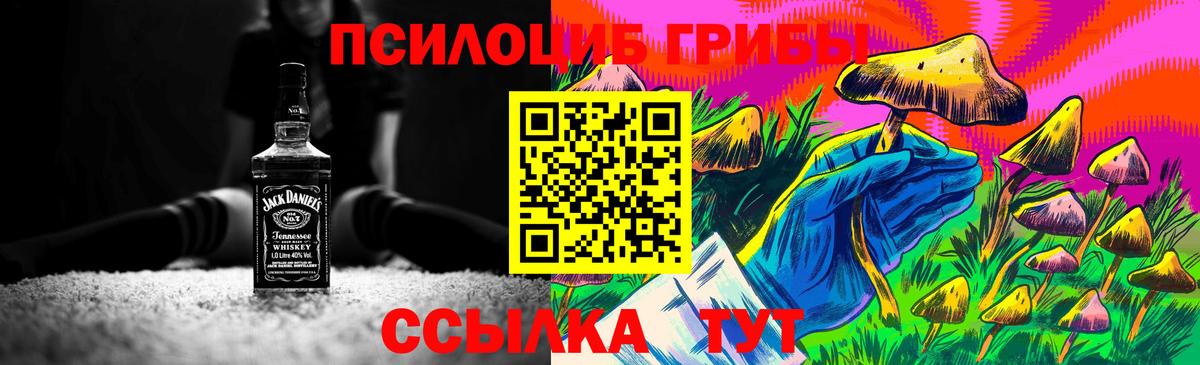 Псилоцибиновые грибы Magic Shrooms Дятьково