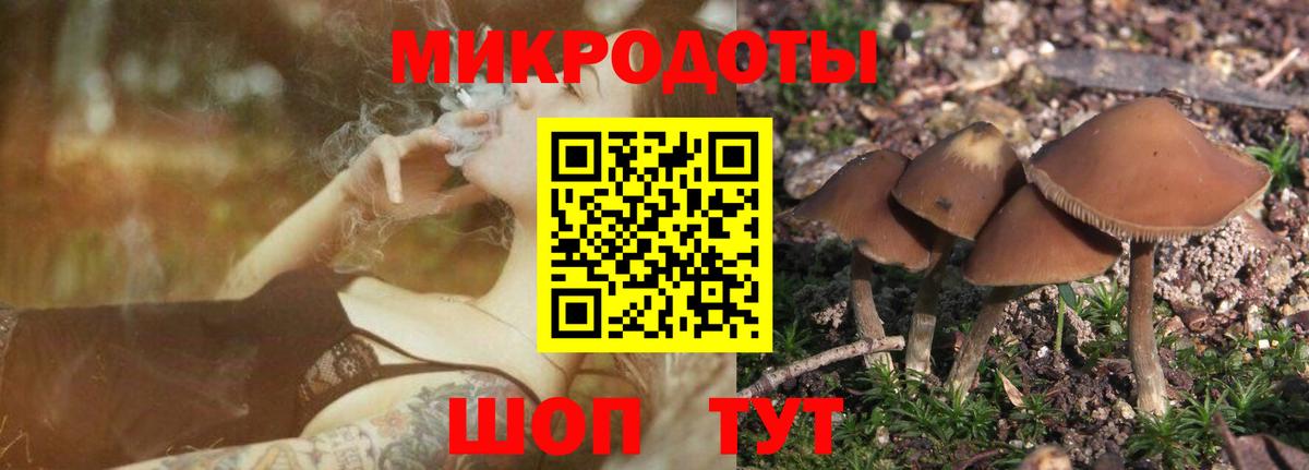 Псилоцибиновые грибы мицелий  Псилоцибиновые грибы Cubensis  Вход с VPN  Дятьково 